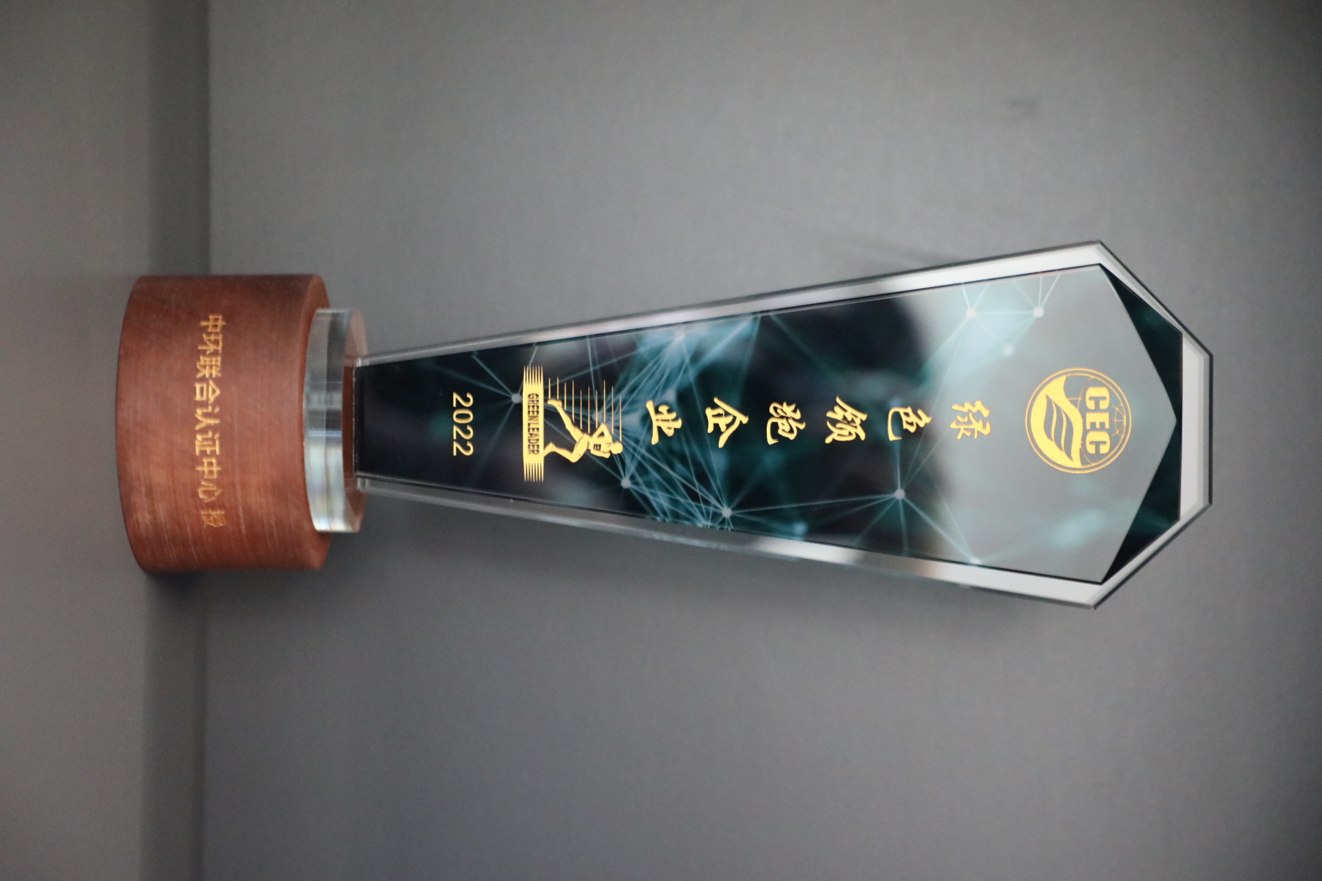 美巢深耕家裝環(huán)保輔料賽道，榮獲“綠色領(lǐng)跑企業(yè)”稱號(hào)